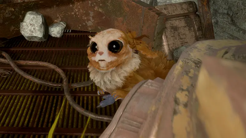 Star Wars Jedi Fallen Order Pet - How to get a Bogling Companion