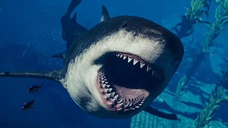Jurassic World Evolution 2: Park Manager’s Pack introduces Megalodon ocean giant and small, cuddly dinosaurs