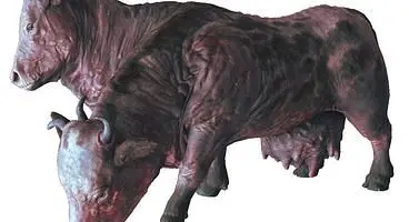 Fallout 76 Brahmin Location Guide