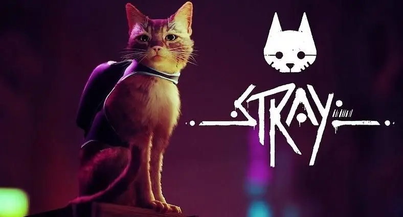 Stray Mysterious Password and Midtown Safe Codes - Every Code Listed