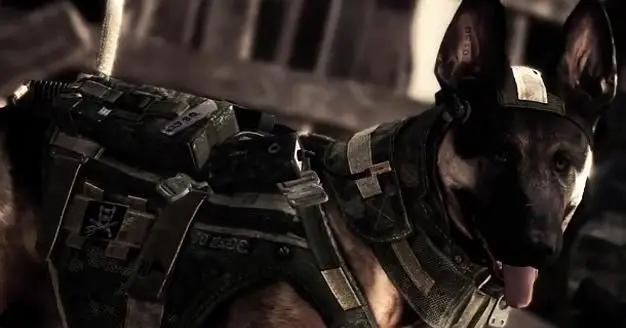 Call of Duty: Ghosts ships over $1 billion in retail stock on first day