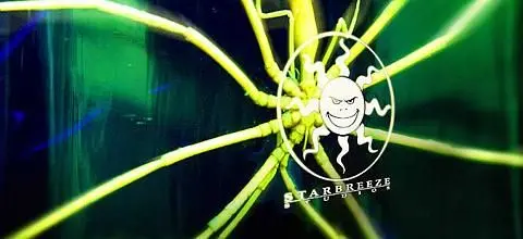 Starbreeze staffer CV reveals new Bourne game as 'Ascendancy'