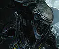 Praetorian