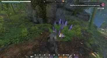 Enshrouded Indigo Plants Locations and uses
