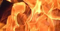 Schappert: PlayStation 3 "on fire" since Slim and Kevin Butler ads