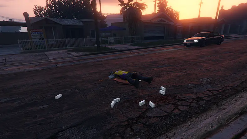 Grand Theft Auto V Mods