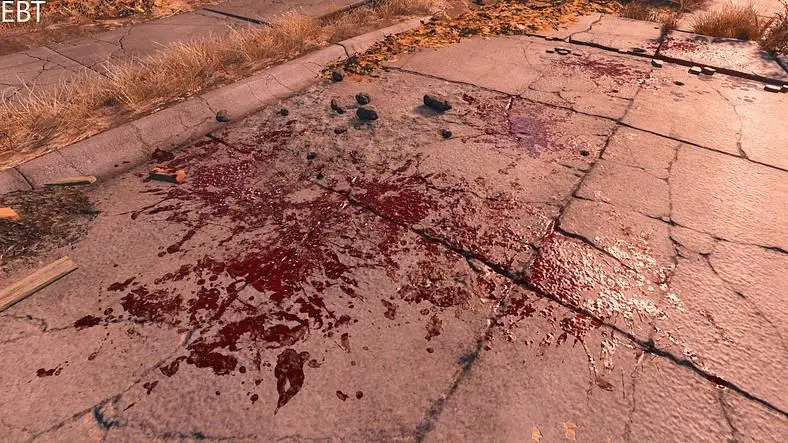 Fallout 4 Mods