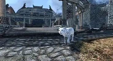 This Skyrim Special Edition Mod Lets You Have Your Very Own Cat Pal