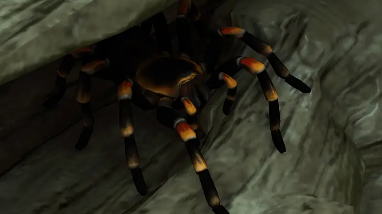 Mexican Redknee