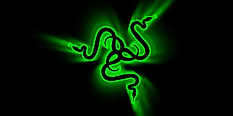 Razer Leaks 100,000 Customers' Private Information
