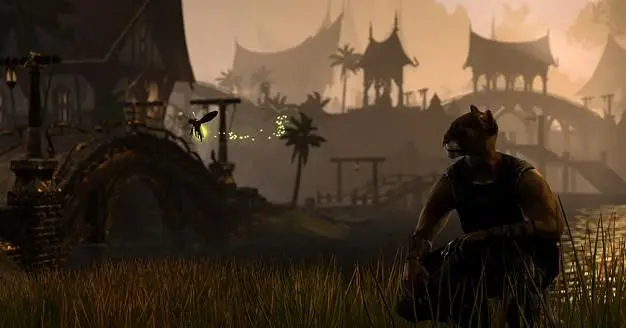Elder Scrolls Online post launch content out on "really frequent basis"