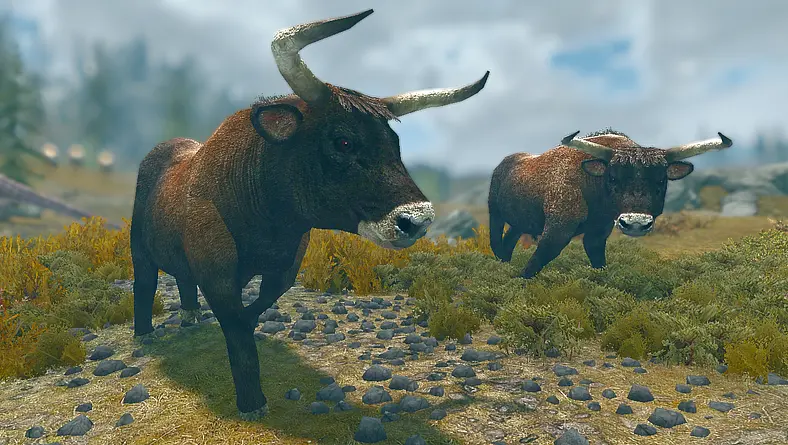 Best Mods