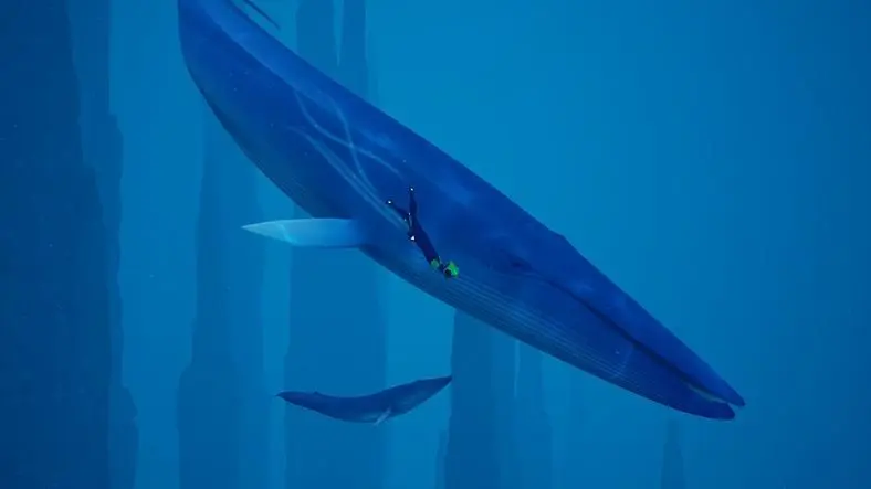 Journey into The Abyss