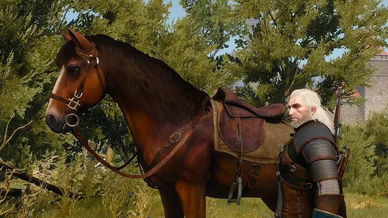 Here are the characters who could be in The Witcher Netflix TV Series