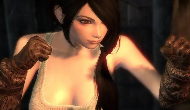 The Elder Scrolls V: Skyrim Mods