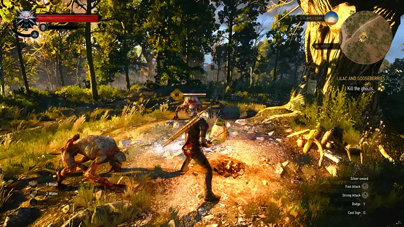 The Witcher 3: Wild Hunt Review-In-Progress