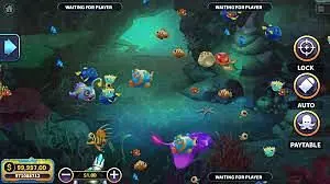 Detailed Overview of Real Money Fish Games in 2026 