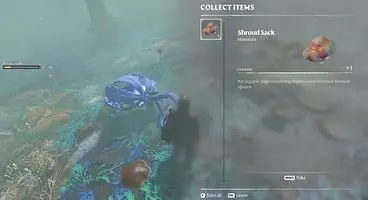 How to Get Shroud Sacks in Enshrouded