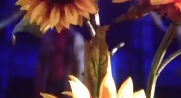 Bethesda teases new game with barbed wire and burning sunflowers