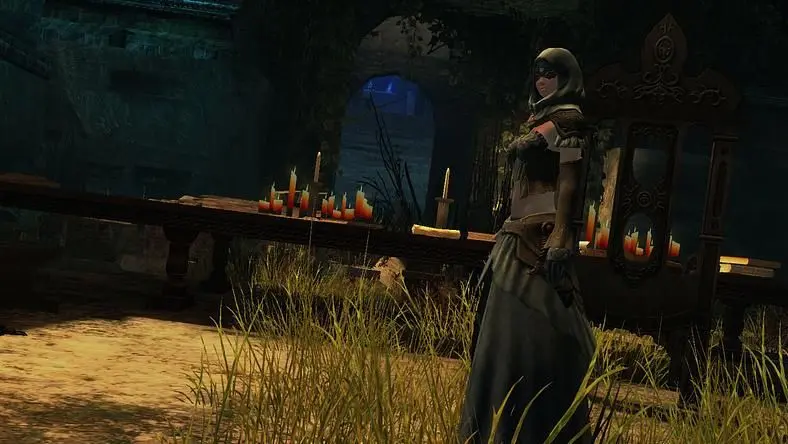Guild Wars 2 sales force temporary suspension of digital sales