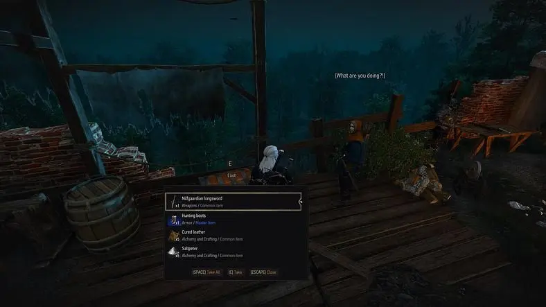 Witcher 3 Mods
