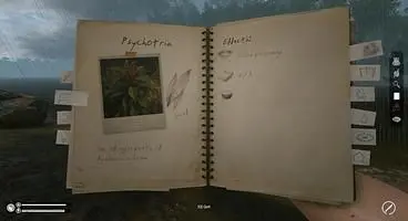 Green Hell Psychotria Location - How to find the plant to make Ayahuasca