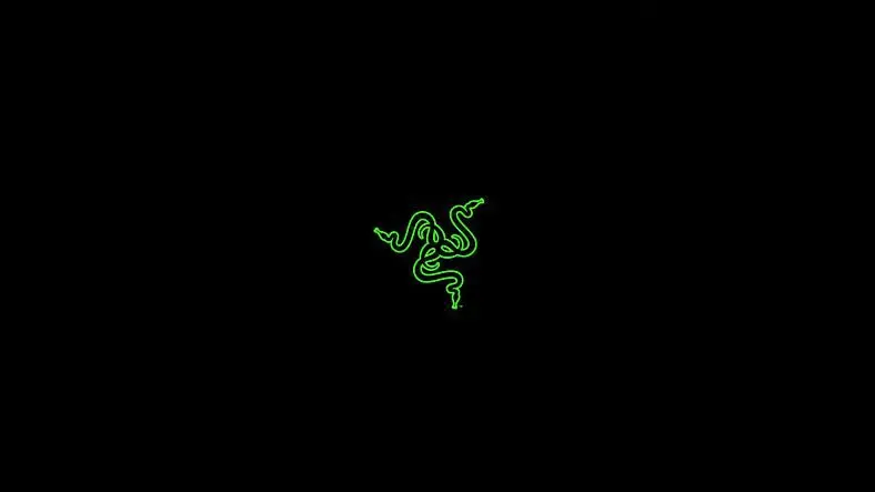 Razer Leaks 100,000 Customers' Private Information