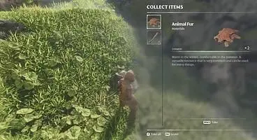 How do you get Bonemeal in Enshrouded