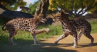 Planet Zoo DLC - Americas Animal Pack Releasing on April 15th