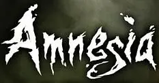Fractional's Amnesia sales "exceeded" their needs, keeps pay low