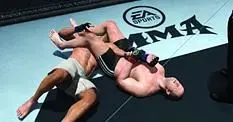 EA Sports MMA future uncertain
