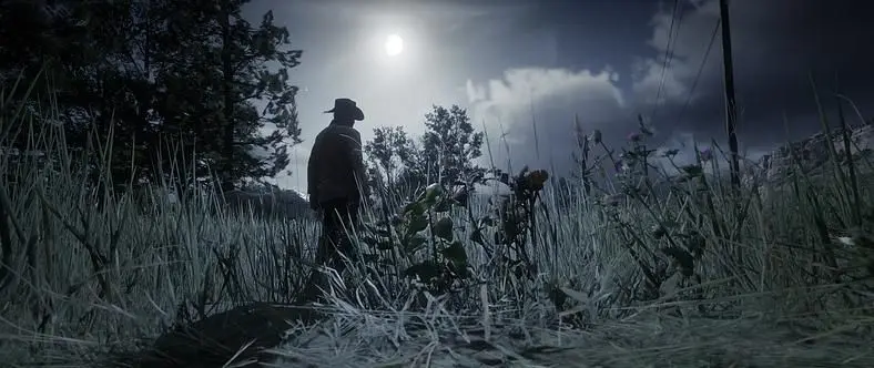 The Best Red Dead Redemption 2 PC Mods