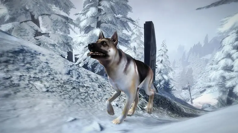 Lionhead releases Fable III dog DLC, three new breeds for hero