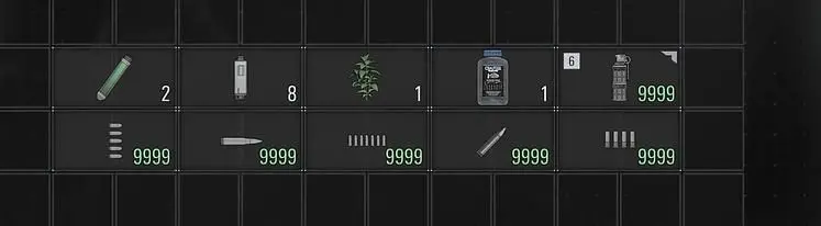 The Best Resident Evil Requiem Mods