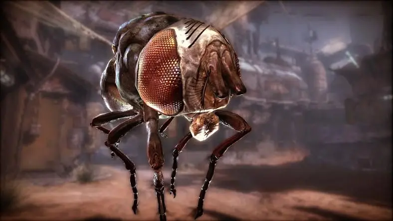 Bethesda takes over publishing rights for Rage