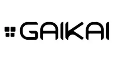 Gaikai enlists former EA boss