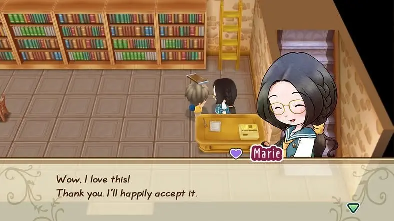 STORY OF SEASONS: Friends of Mineral Town Marriage Guide
