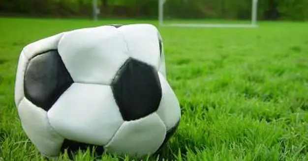 FIFA 14 not using EA Sports' Ignite engine on PC