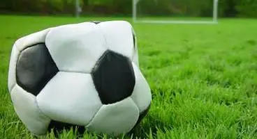 FIFA 14 not using EA Sports' Ignite engine on PC