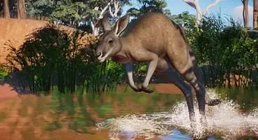 Planet Zoo Gets Its Free Summer Update With the Australia Pack DLC
