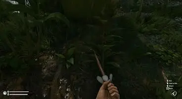 Green Hell Psychotria Location - How to find the plant to make Ayahuasca