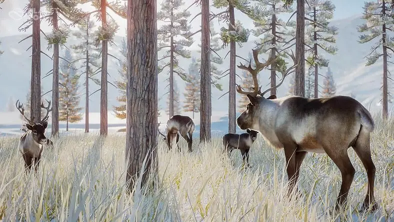 Planet Zoo Patch Notes - Arctic Pack and Update 1.1.0 Released
