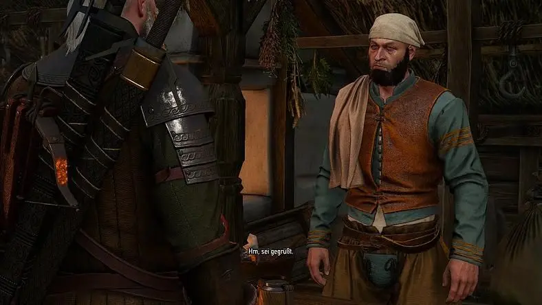 Witcher 3 Mods