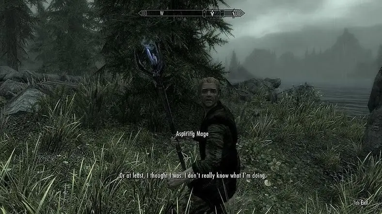 The Best Skyrim Special Edition Mods