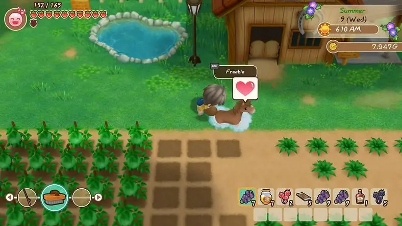 STORY OF SEASONS Friends of Mineral Horses - How to Take Care of Your Horse