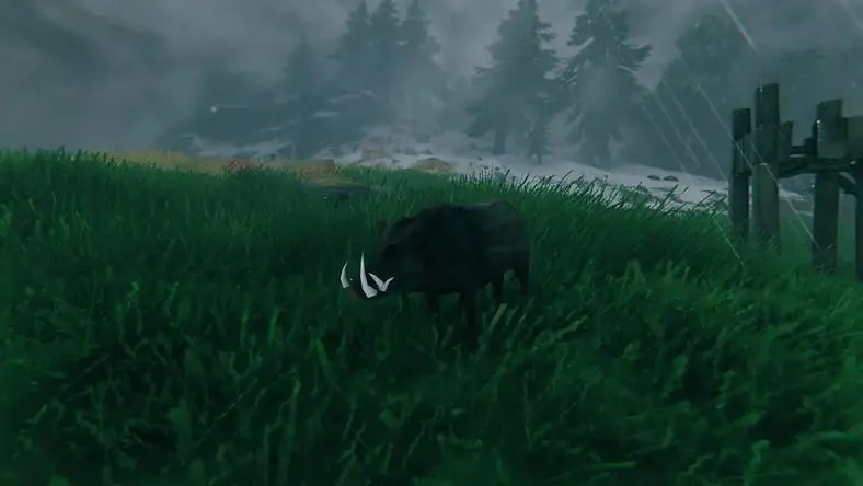 Valheim Animal Taming Guide - How to Tame Boars, Wolves and Loxes