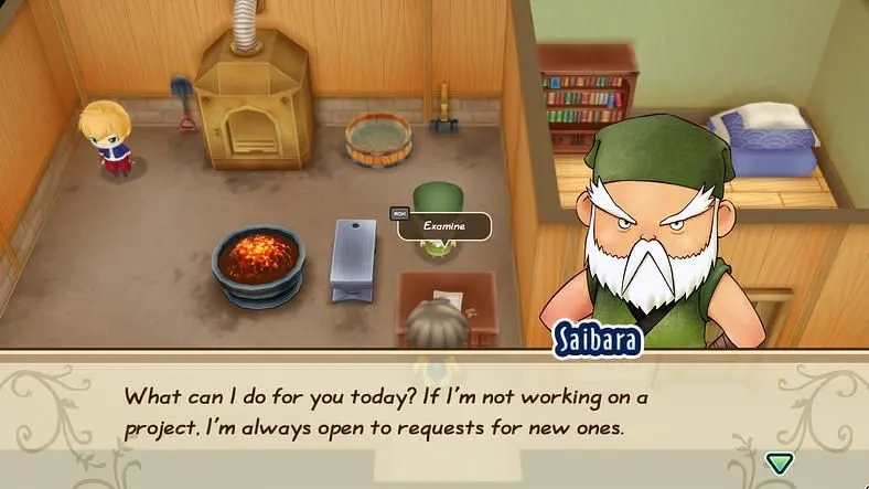STORY OF SEASONS: Friends of Mineral Town Forge and Tool Guide