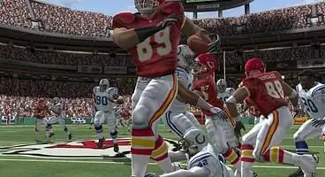 Madden is all we get when it comes to licensed pro football, so I was expecting more.