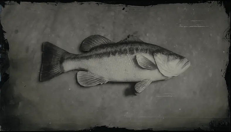 Red Dead Online Largemouth Bass Location Guide