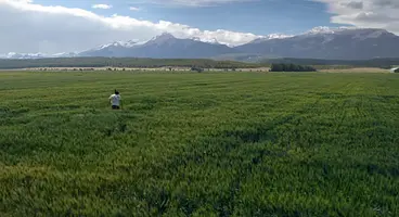 Far Cry 5 Officially Unveiled Through Ubisoft Teaser Trailer - More Planned For May 26